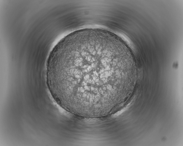 X0000093531046200710261247