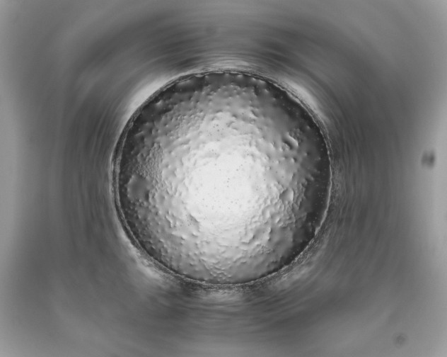 X0000093531047200710261247