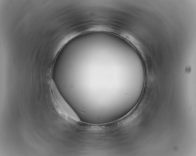 X0000093531049200710261247