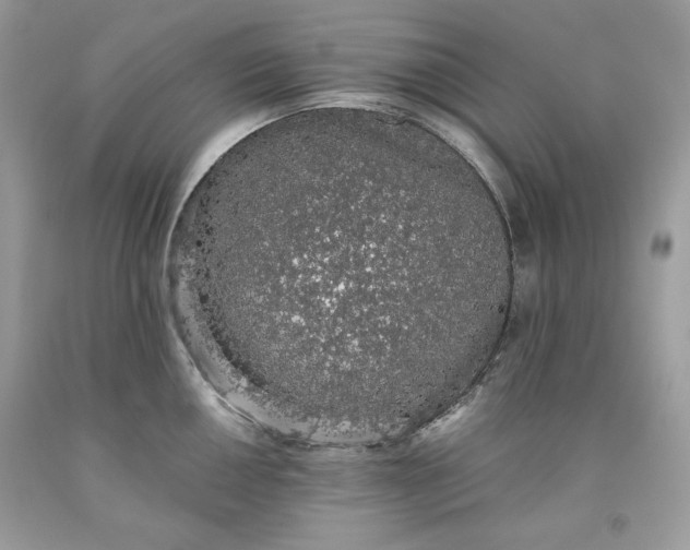 X0000093531050200710261247