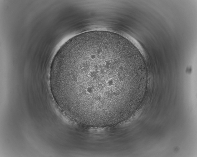 X0000093531051200710261247