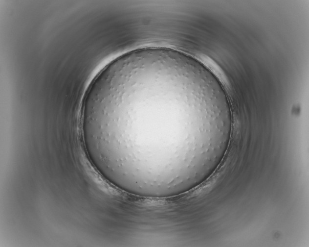 X0000093531052200710261247