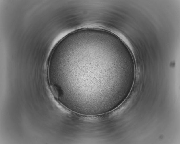 X0000093531053200710261247