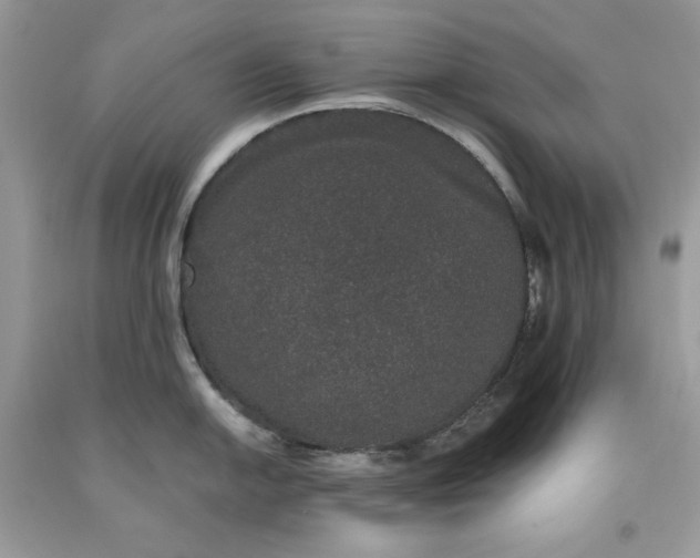 X0000093531054200710261247