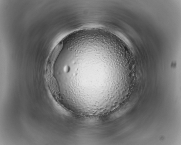 X0000093531055200710261247