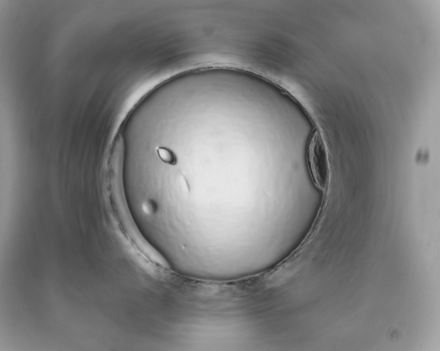 X0000093531056200710261247