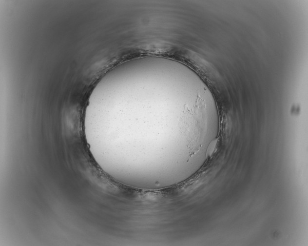 X0000093531058200710261246