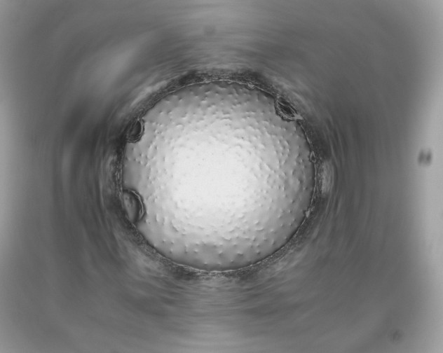 X0000093531059200710261246