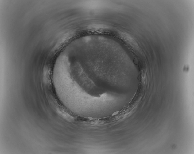 X0000093531060200710261246