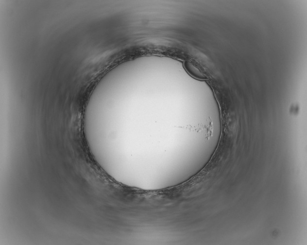 X0000093531061200710261246