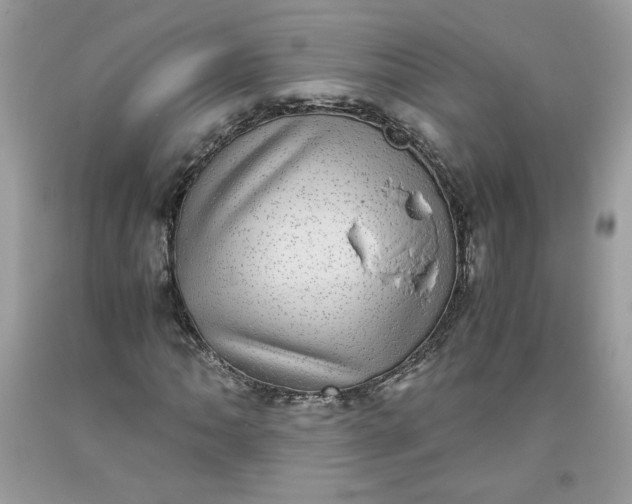 X0000093531062200710261246