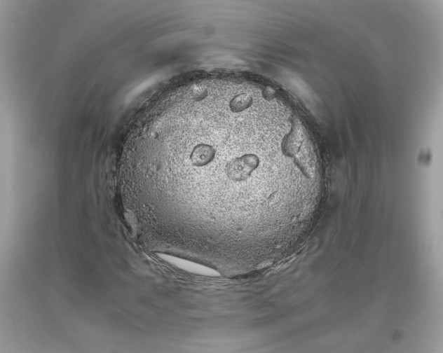 X0000093531063200710261246