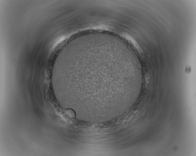 X0000093531064200710261246