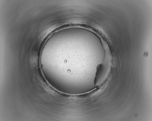 X0000093531065200710261246