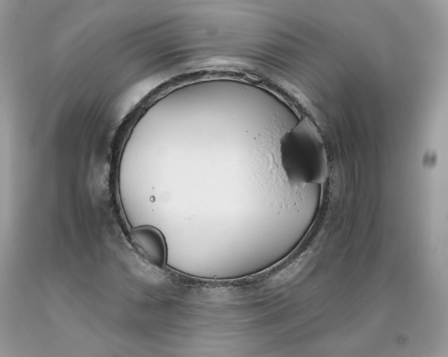 X0000093531066200710261246