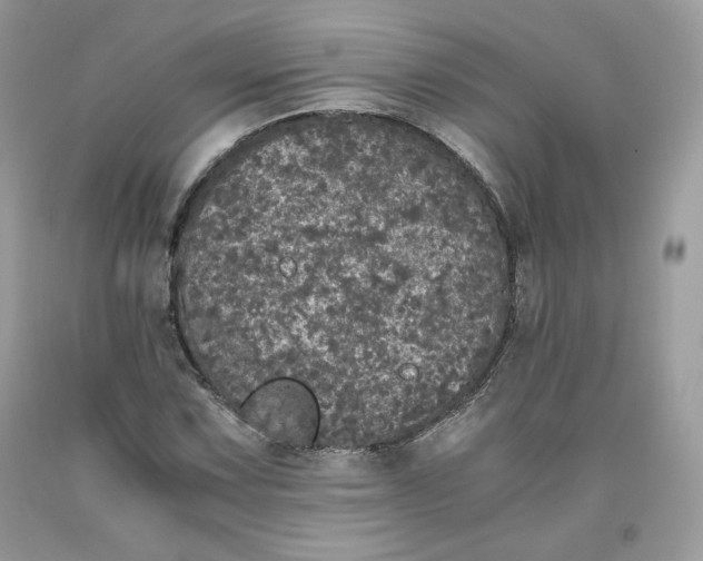 X0000093531067200710261246