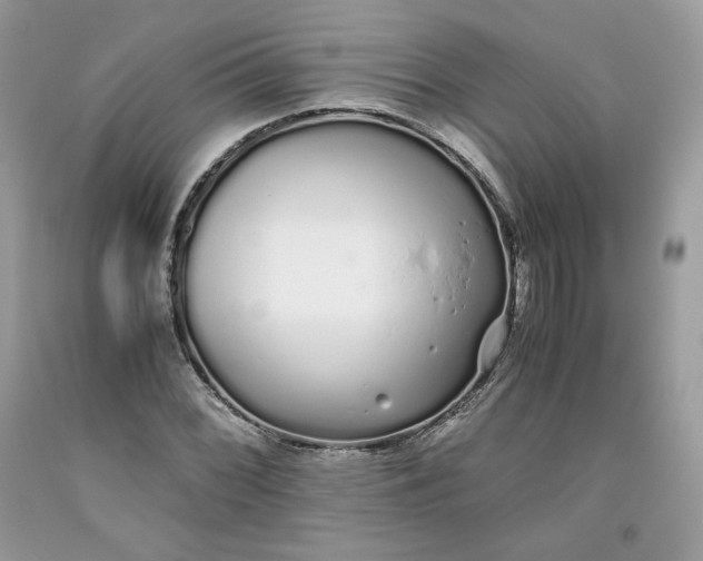 X0000093531068200710261246