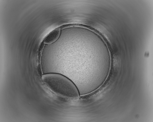 X0000093531069200710261246