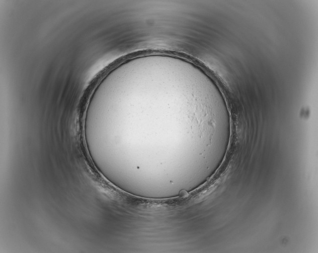 X0000093531070200710261246