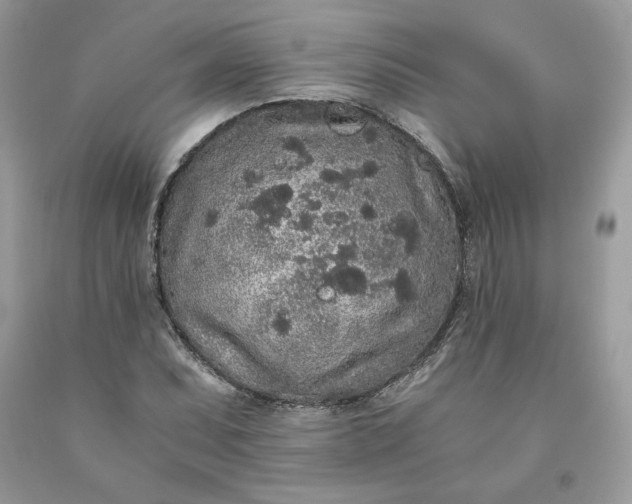 X0000093531071200710261246