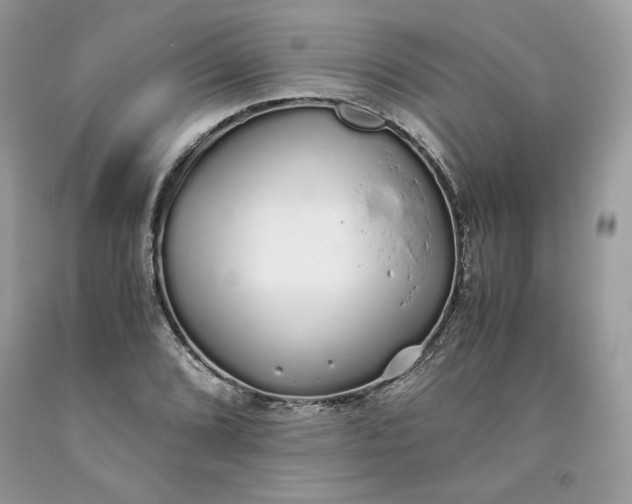 X0000093531072200710261246