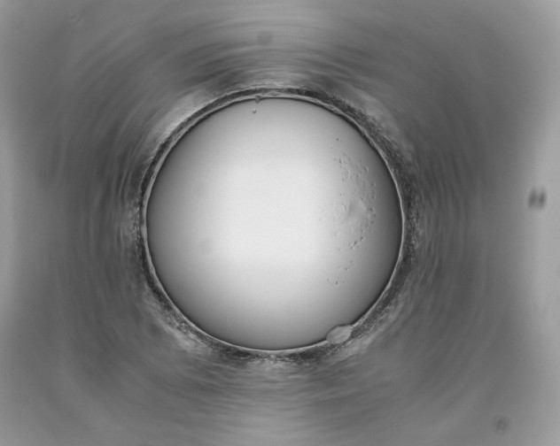 X0000093531073200710261246