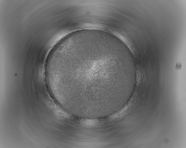 X0000093531074200710261246