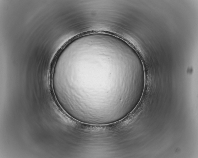 X0000093531076200710261246