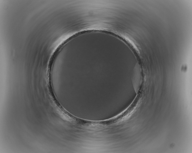 X0000093531077200710261246