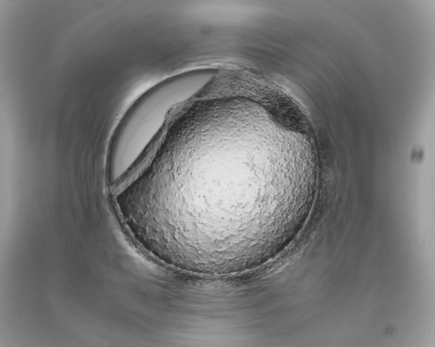 X0000093531079200710261246