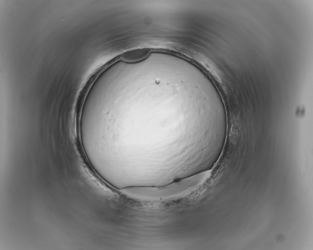 X0000093531080200710261246