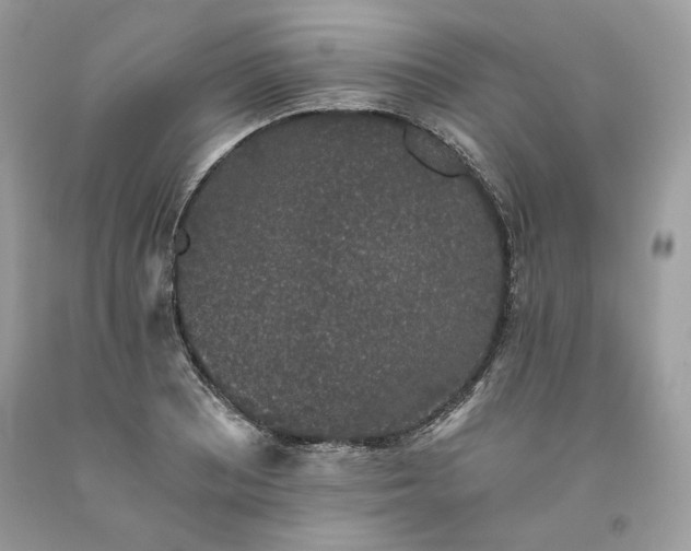 X0000093531081200710261246