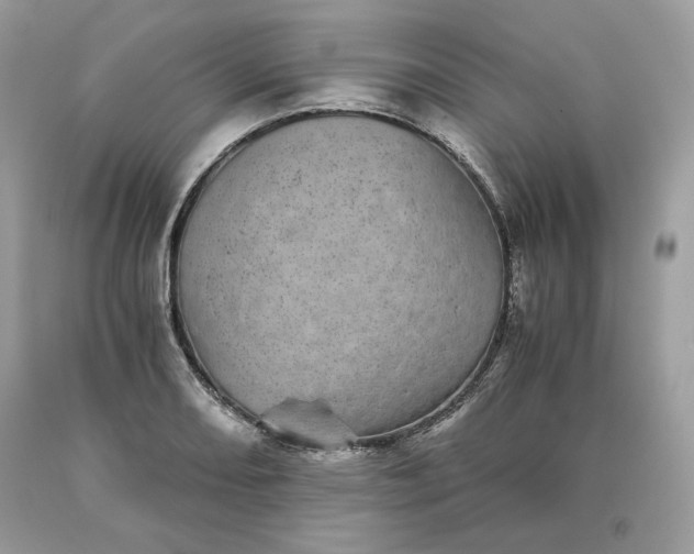 X0000093531082200710261246