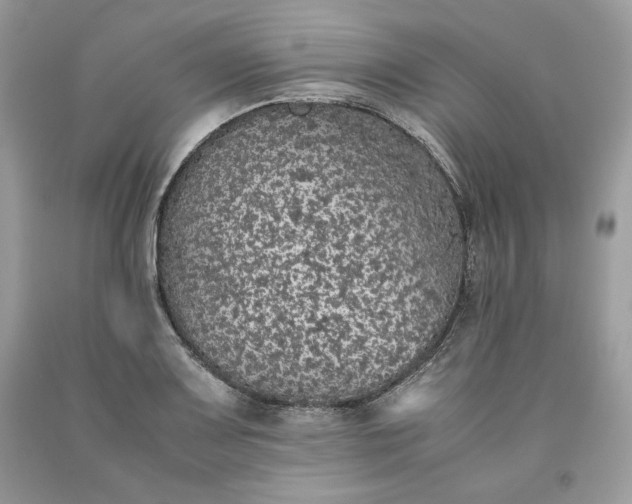 X0000093531083200710261246