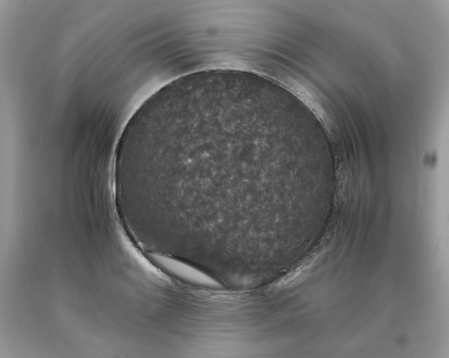 X0000093531084200710261246