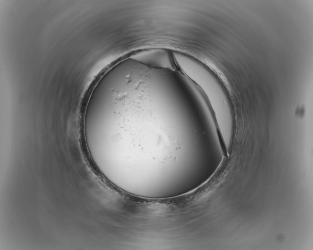 X0000093531085200710261246