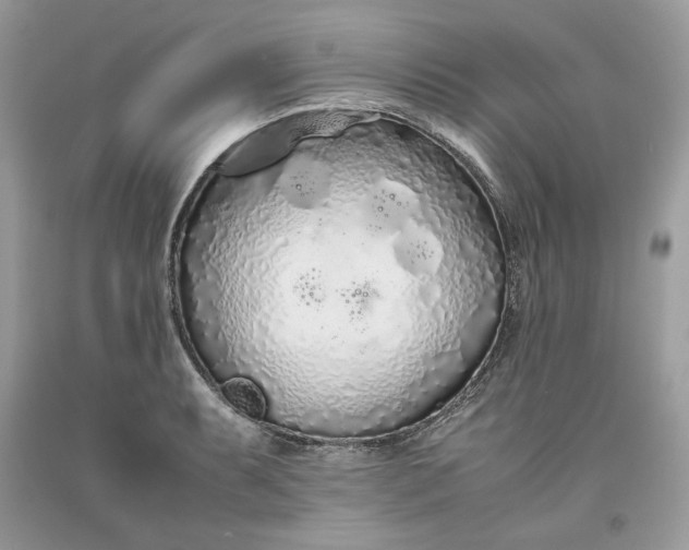 X0000093531087200710261246