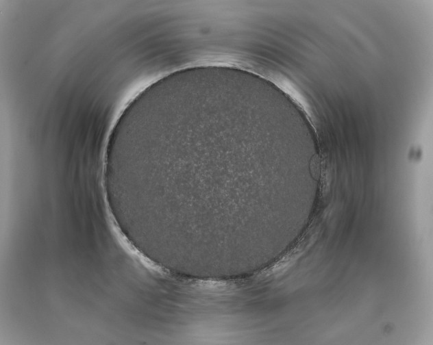 X0000093531088200710261246