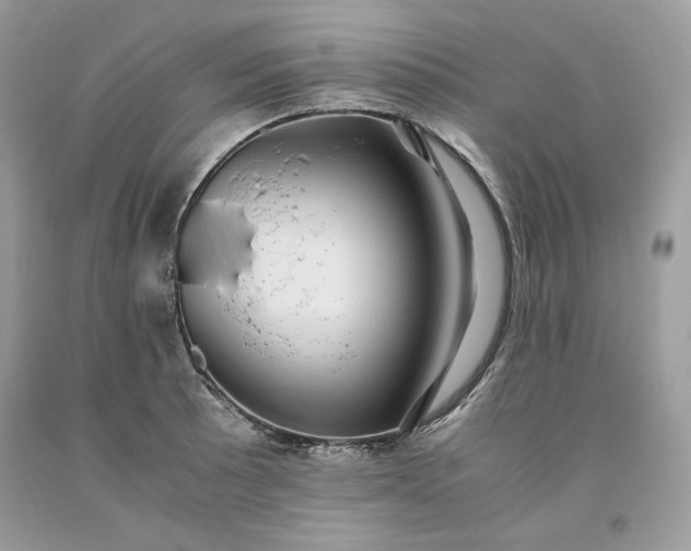 X0000093531089200710261246