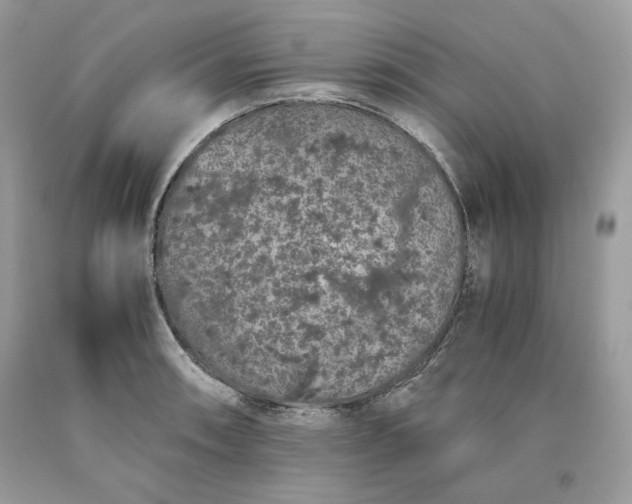 X0000093531090200710261246