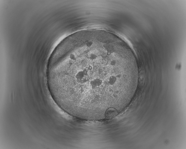 X0000093531091200710261246