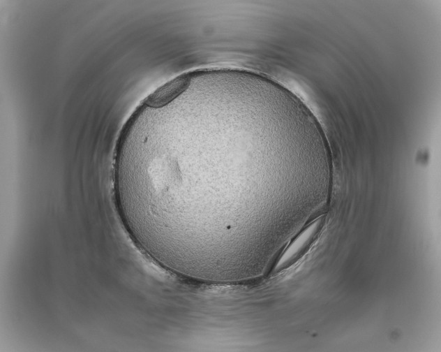 X0000093531093200710261246