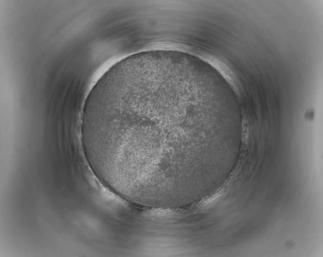 X0000093531094200710261246