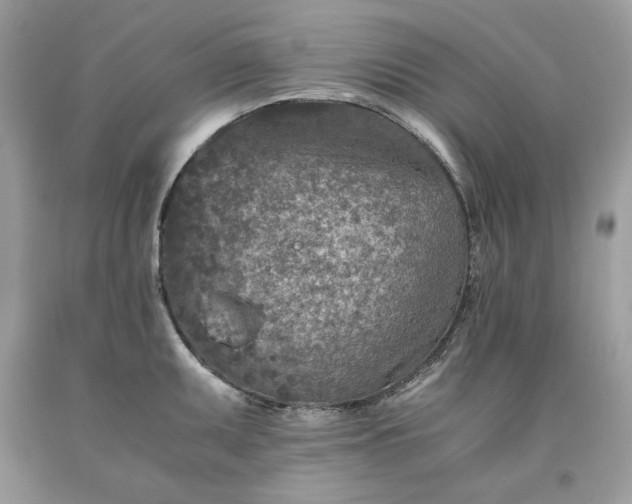 X0000093531095200710261246