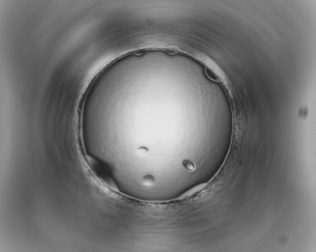 X0000093531096200710261246