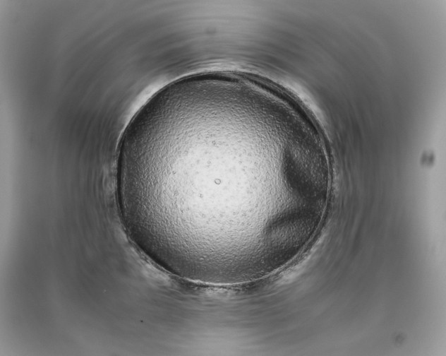 X0000093531097200710261246