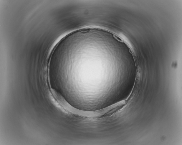 X0000093531100200710261246