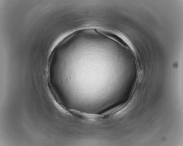 X0000093531101200710261246