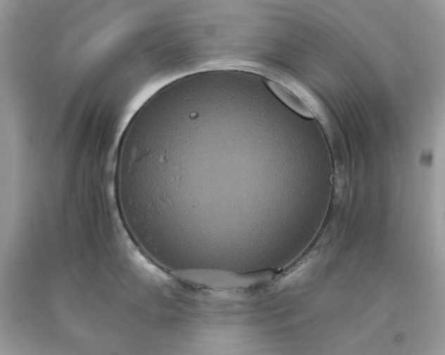 X0000093531102200710261246