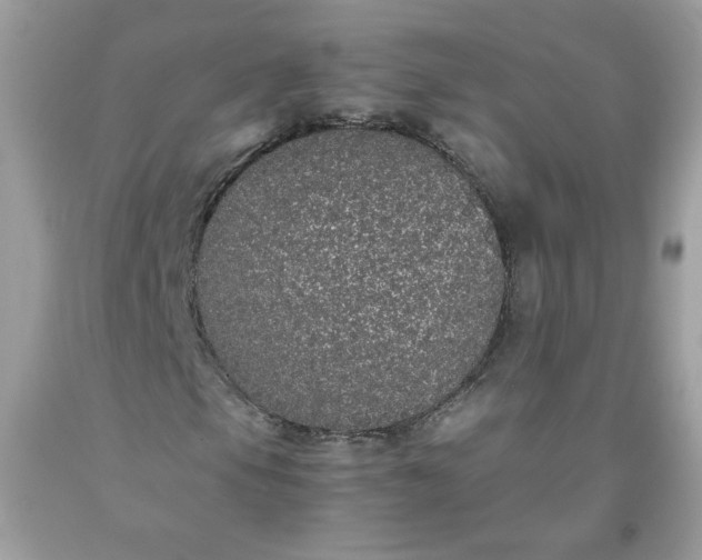 X0000093531105200710261245